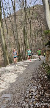 28. gorski tek k Svetemu Primožu (14)